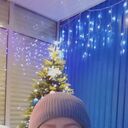 ���������� ������ ��������, ���� ������� �������, 43 ����, ������������ ��� ������, ����� � ���������