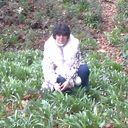 ���������� ����, ���� ������� ������, 59 ���, ������������ ��� ������, ����� � ���������, c�������� ���������