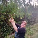 ���������� ��������, ���� ������� �����, 63 ����, ������������ ��� c�������� ���������