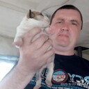  ,   , 49 ,  