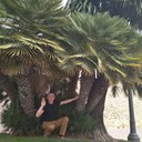 ���������� ������, ���� ������� ������, 52 ����, ������������ ��� ����� � ���������, c�������� ���������