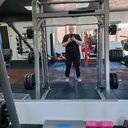 ���������� �����, ���� ������� ��������, 41 ���, ������������ ��� ������, ����� � ���������