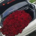 ���������� ������, ���� ������� Noname, 43 ����, ������������ ��� ������