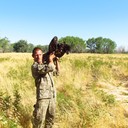 ���������� ������, ���� ������� ����, 44 ����, ������������ ��� ������, ����� � ���������, c�������� ���������