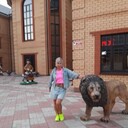  ,   , 49 ,   ,   