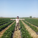 ���������� �����, ���� ������� ������, 46 ���, ������������ ��� ������, ����� � ���������, c�������� ���������