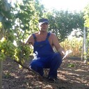  ,   , 61 ,   c 
