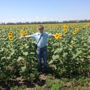 ���������� ���������, ���� ������� ���������, 48 ���, ������������ ��� ������, ���������