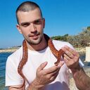 ���������� ������, ���� ������� �����, 29 ���, ������������ ��� ������, ����� � ���������, c�������� ���������, ���������