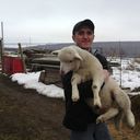 ���������� �������, ���� ������� Djecson, 47 ���, ������������ ��� ������