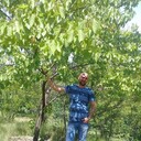 ���������� �������, ���� ������� Taleh, 50 ���, ������������ ��� ������, ����� � ���������