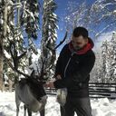 ���������� ���������, ���� ������� �����, 29 ���, ������������ ��� ������, ����� � ���������