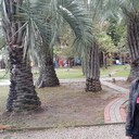  ,   , 51 ,   ,   , c 