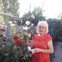 ���������� �������������, ���� ������� ������, 62 ����, ������������ 