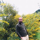 ���������� ����, ���� ������� �����, 37 ���, ������������ ��� ������, ����� � ���������