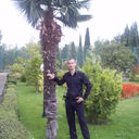  ,   , 31 ,   