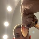 ���������� ��������, ���� ������� �����, 36 ���, ������������ ��� ������, ����� � ���������