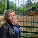  --,   , 38 ,   c 