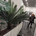 ���������� ������-��-����, ���� ������� ������, 60 ���, ������������ ��� ������, ����� � ���������, ���������