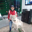  ,   , 55 ,     , c , 