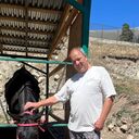 ���������� �����������, ���� ������� ������, 50 ���, ������������ ��� ����� � ���������, c�������� ���������, ���������