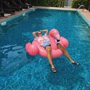 ���������� ������, ���� ������� ������, 36 ���, ������������ ��� ������, ����� � ���������, c�������� ���������, ���������