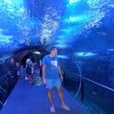  ,   , 41 ,   ,   , c 