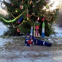 ���������� �����������, ���� ������� �������, 38 ���, ������������ ��� ������, ����� � ���������