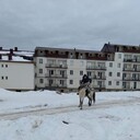  ,   Vaska, 43 ,   ,   