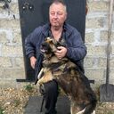 ���������� ����-�������, ���� ������� ������, 60 ���, ������������ ��� c�������� ���������