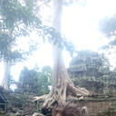  ,   , 63 ,   ,   , c 