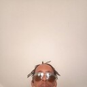 ���������� ������, ���� ������� �����, 41 ���, ������������ ��� ������, ����� � ���������