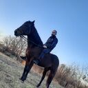 ���������� ���������, ���� ������� ������, 37 ���, ������������ ��� ������, ����� � ���������