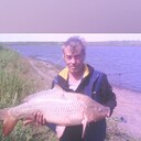  ,   , 60 ,   ,   
