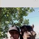 ���������� ���, ���� ������� �����, 41 ���, ������������ ��� ������, ����� � ���������, c�������� ���������, ���������