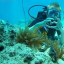  ,   Anton, 29 ,   ,   