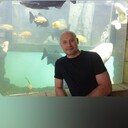  ,   , 51 ,     , c 