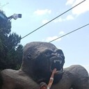 ���������� ������, ���� ������� ������, 56 ���, ������������ ��� ������, ����� � ���������