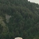 ���������� ������-��-����, ���� ������� Yusuf, 45 ���, ������������ ��� ������, ����� � ���������