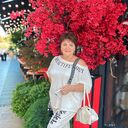 ���������� �����, ���� ������� �������, 50 ���, ������������ ��� c�������� ���������