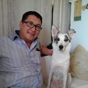 ���������� ���������� �����, ���� ������� �����, 43 ����, ������������ ��� ������, ����� � ���������, c�������� ���������