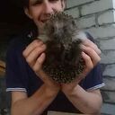 ���������� ������, ���� ������� �����, 34 ����, ������������ ��� ������, ����� � ���������, ���������