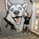 ���������� ������, ���� ������� ���������, 28 ���, ������������ ��� ������, ����� � ���������