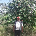  ,   , 55 ,     , c 