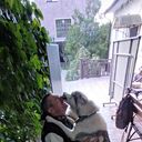 ���������� ������, ���� ������� �����, 46 ���, ������������ ��� ������, ����� � ���������