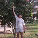 ,   , 51 ,  