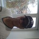  ,   , 52 ,   ,   