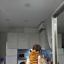 ���������� �����������, ���� ������� ���, 35 ���, ������������ ��� ������, c�������� ���������, ���������