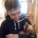 ���������� ���������, ���� ������� �������, 38 ���, ������������ ��� ������, ����� � ���������, c�������� ���������