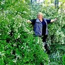 ���������� ��������, ���� ������� �����, 54 ����, ������������ ��� c�������� ���������